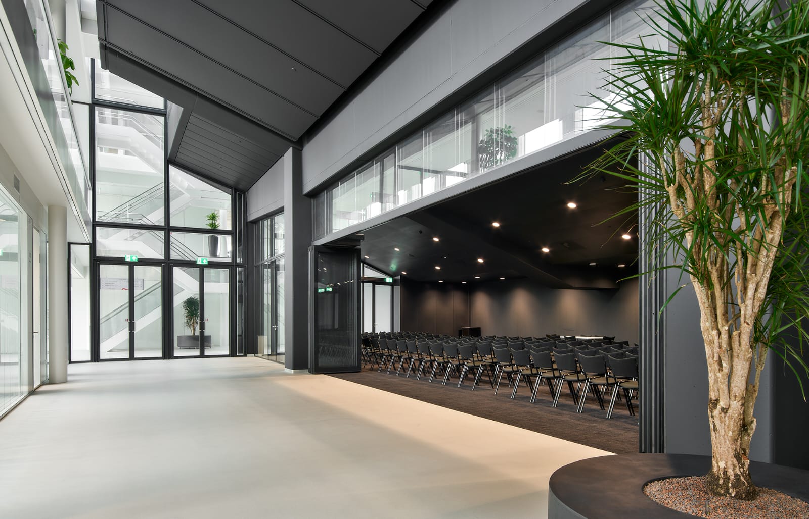 פנלים זכוכית באקוסטיקה גבוה